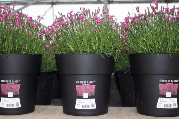 Labels for the horticulture industry 