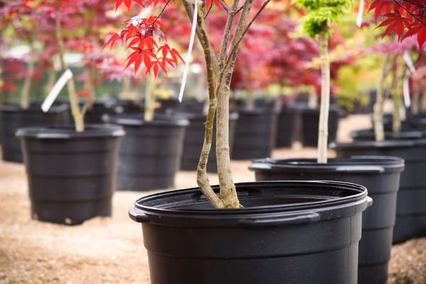 horticulture-plastic-nursery-pots