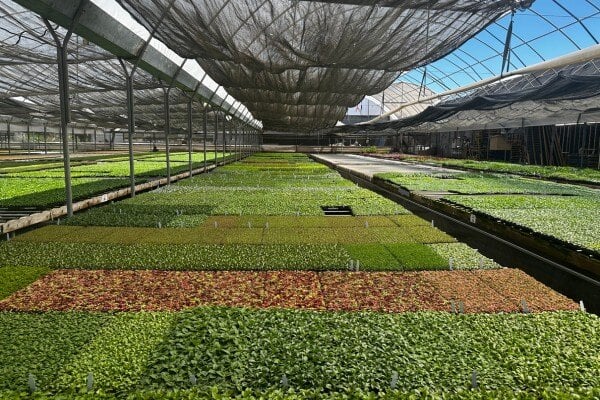 shade-cloth-ag-horticulture (2)