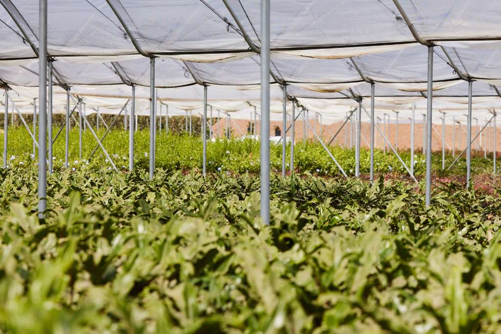 horticulture_ufp industrial_shade cloth product